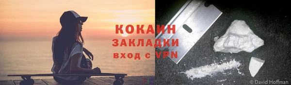 индика Арсеньев
