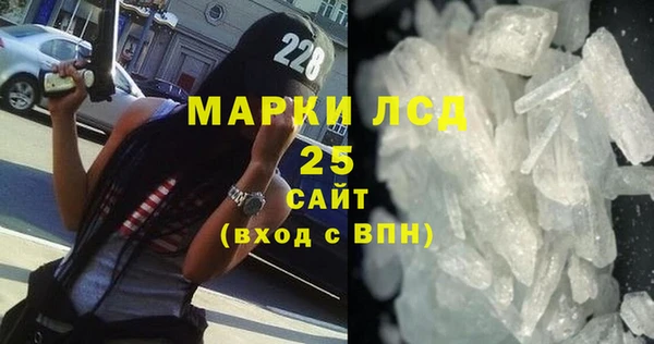 индика Арсеньев